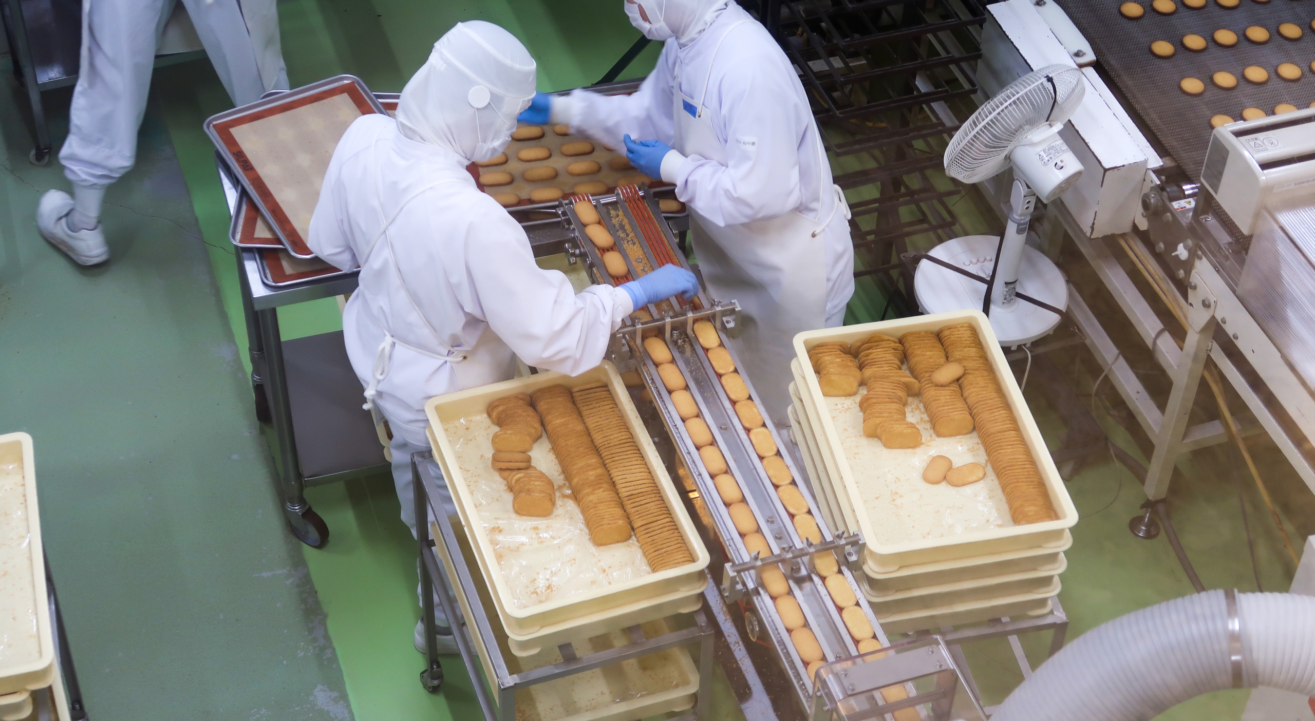 食品工場の製造ラインでクッキーを仕分けする、衛生服を着用した作業員たち